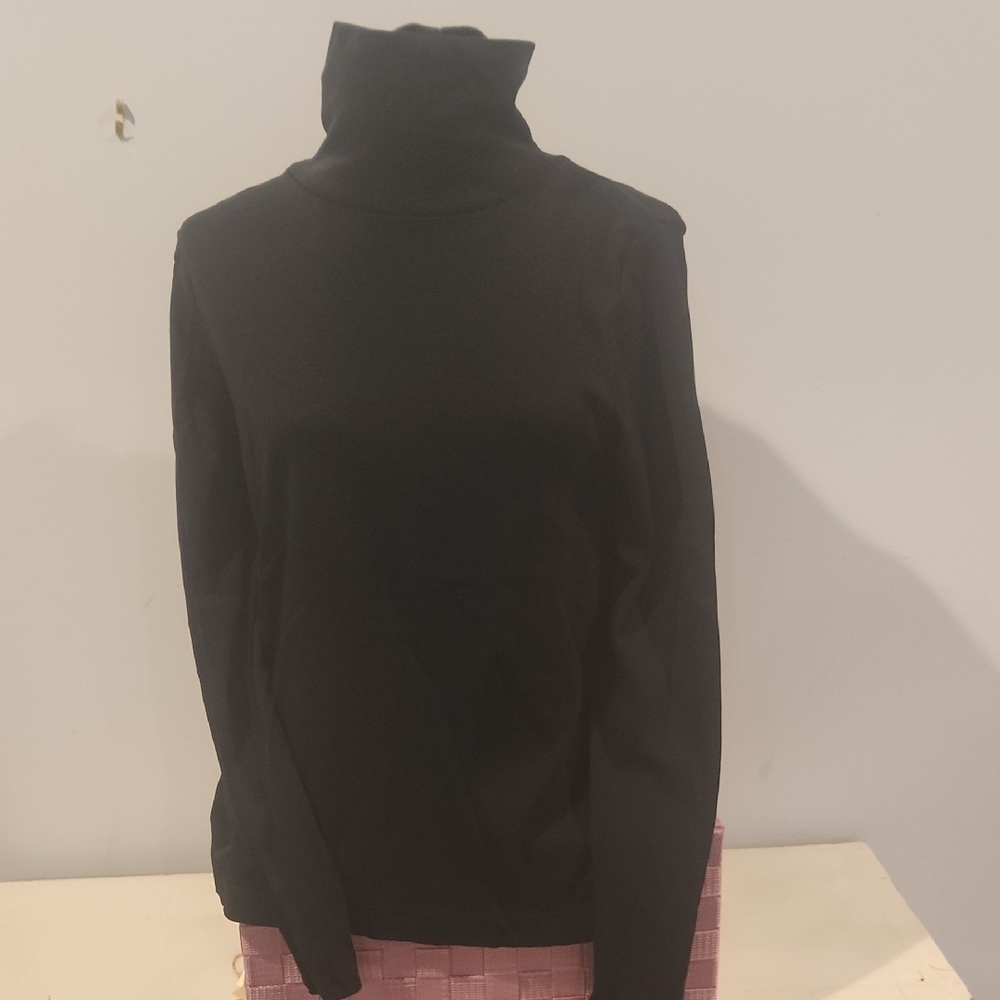 J Jill Womans Turtleneck Jersey